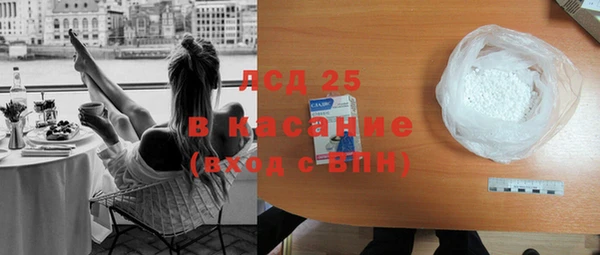 прущие грибы Бронницы