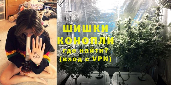 прущие грибы Бронницы