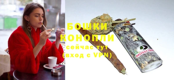 прущие грибы Бронницы