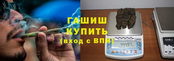 прущие грибы Бронницы