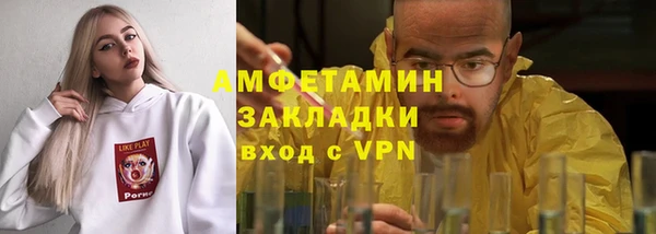 прущие грибы Бронницы