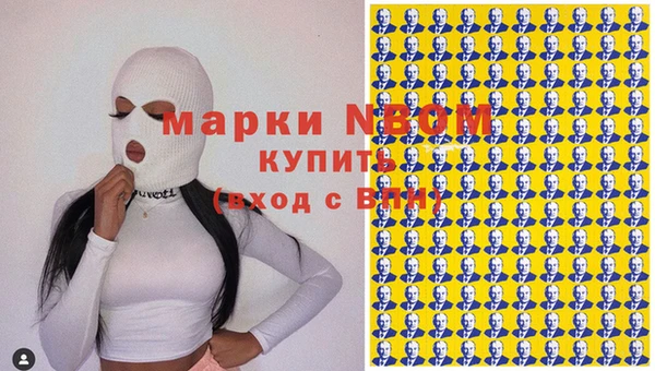 прущие грибы Бронницы