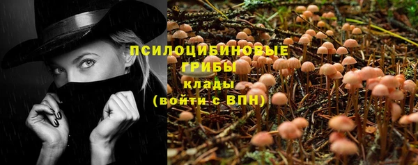 прущие грибы Бронницы