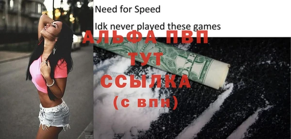 прущие грибы Бронницы