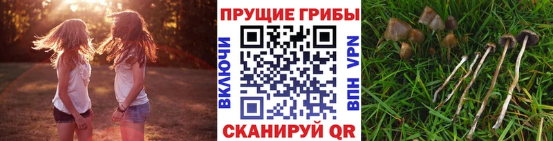 Галлюциногенные грибы мицелий Лысково